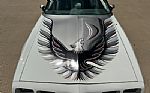 1980 Firebird Trans Am Thumbnail 27