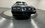 1979 Trans Am Thumbnail 49