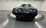 1979 Trans Am Thumbnail 68