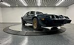 1979 Trans Am Thumbnail 72
