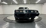 1979 Trans Am Thumbnail 71