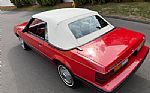1983 Mustang Thumbnail 10