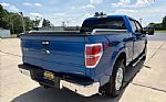 2013 F-150 Thumbnail 13