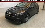 2019 Forte Thumbnail 1