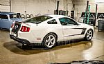2010 Mustang Thumbnail 9