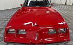 1981 Firebird Thumbnail 4