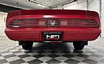 1981 Firebird Thumbnail 20