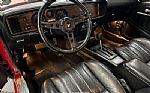 1981 Firebird Thumbnail 23
