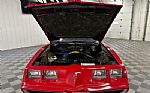 1981 Firebird Thumbnail 40