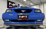 2004 Mustang Coupe Thumbnail 14
