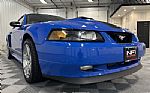 2004 Mustang Coupe Thumbnail 15