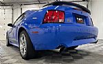 2004 Mustang Coupe Thumbnail 21