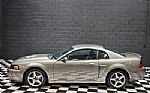 2003 Mustang SVT Cobra Thumbnail 2