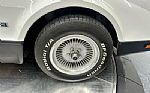 1974 SV-1 Thumbnail 38