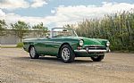 1964 Tiger Thumbnail 1