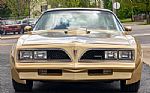 1978 Trans Am Thumbnail 3