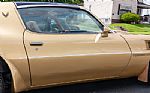 1978 Trans Am Thumbnail 5