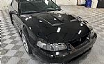1999 Mustang Thumbnail 5