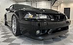 1999 Mustang Thumbnail 15