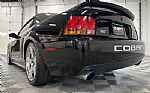 1999 Mustang Thumbnail 21