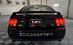 1999 Mustang Thumbnail 44