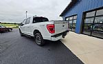 2023 F-150 Thumbnail 16