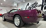 1995 Corvette Thumbnail 3