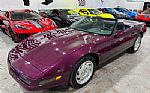 1995 Corvette Thumbnail 27