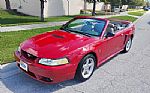 1999 Mustang Thumbnail 1