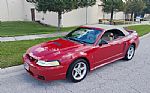 1999 Mustang Thumbnail 2