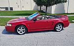 1999 Mustang Thumbnail 3