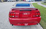 1999 Mustang Thumbnail 13