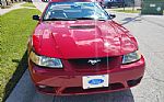 1999 Mustang Thumbnail 15
