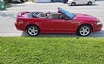 1999 Mustang Thumbnail 16