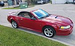 1999 Mustang Thumbnail 20