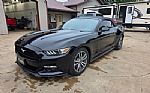 2017 Mustang Thumbnail 2
