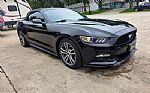 2017 Mustang Thumbnail 3