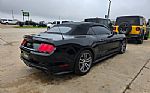 2017 Mustang Thumbnail 5