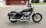 2012 XL1200C Thumbnail 8
