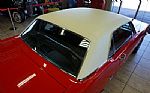 1966 Mustang Thumbnail 77