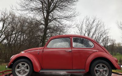 1966 Volkswagen Beetle 