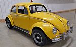 1962 Beetle Thumbnail 1