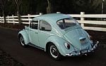 1966 Beetle Thumbnail 6