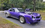 1981 Camaro Thumbnail 2