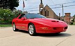 1994 Firehawk - Trans Am Thumbnail 4