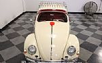 1957 Beetle Thumbnail 18