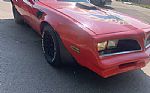 1979 Trans Am Thumbnail 7