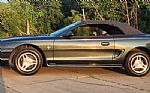 1998 Mustang Thumbnail 2