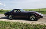 1981 Corvette Thumbnail 25