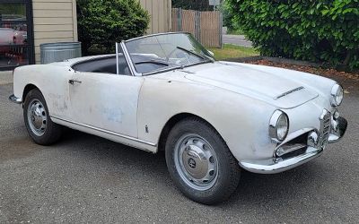 1963 Alfa Romeo Guilia Convertible Roadster